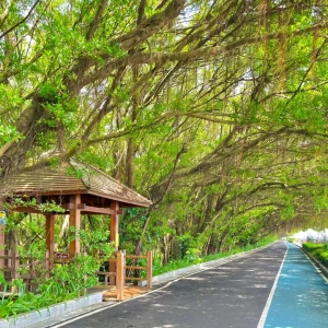 Guangzhou top 10 parks