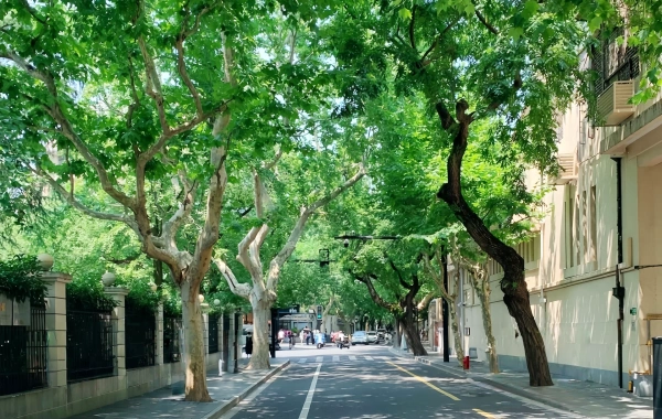 Shanghai History Walk: Time-Travel Through Old Shanghai’s Hidden Trails