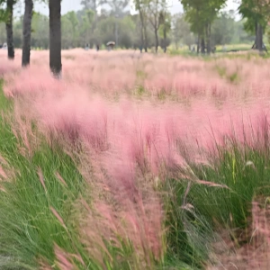 Top 10 Photography Holy Lands in Chengdu