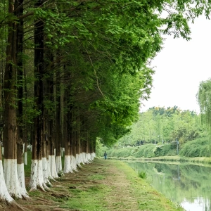 Top 10 Parks in Chengdu