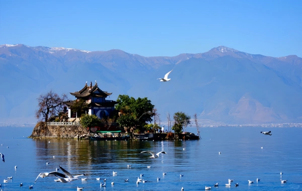 Shuanglongの古代の町:Erhai Fishing Villageからアート半島への無料の旅-4