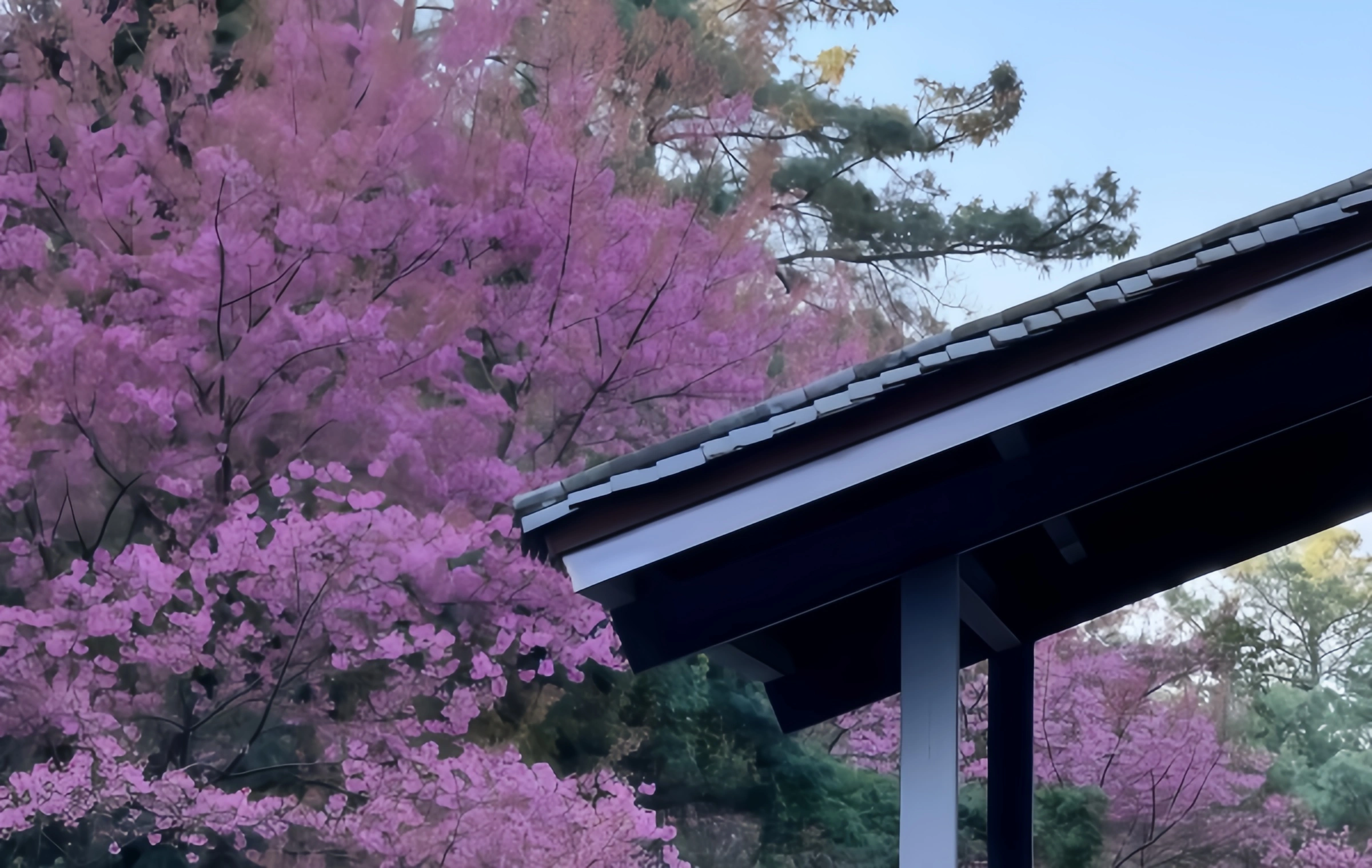 Xishan Park: Eine Millennium Watch von der 