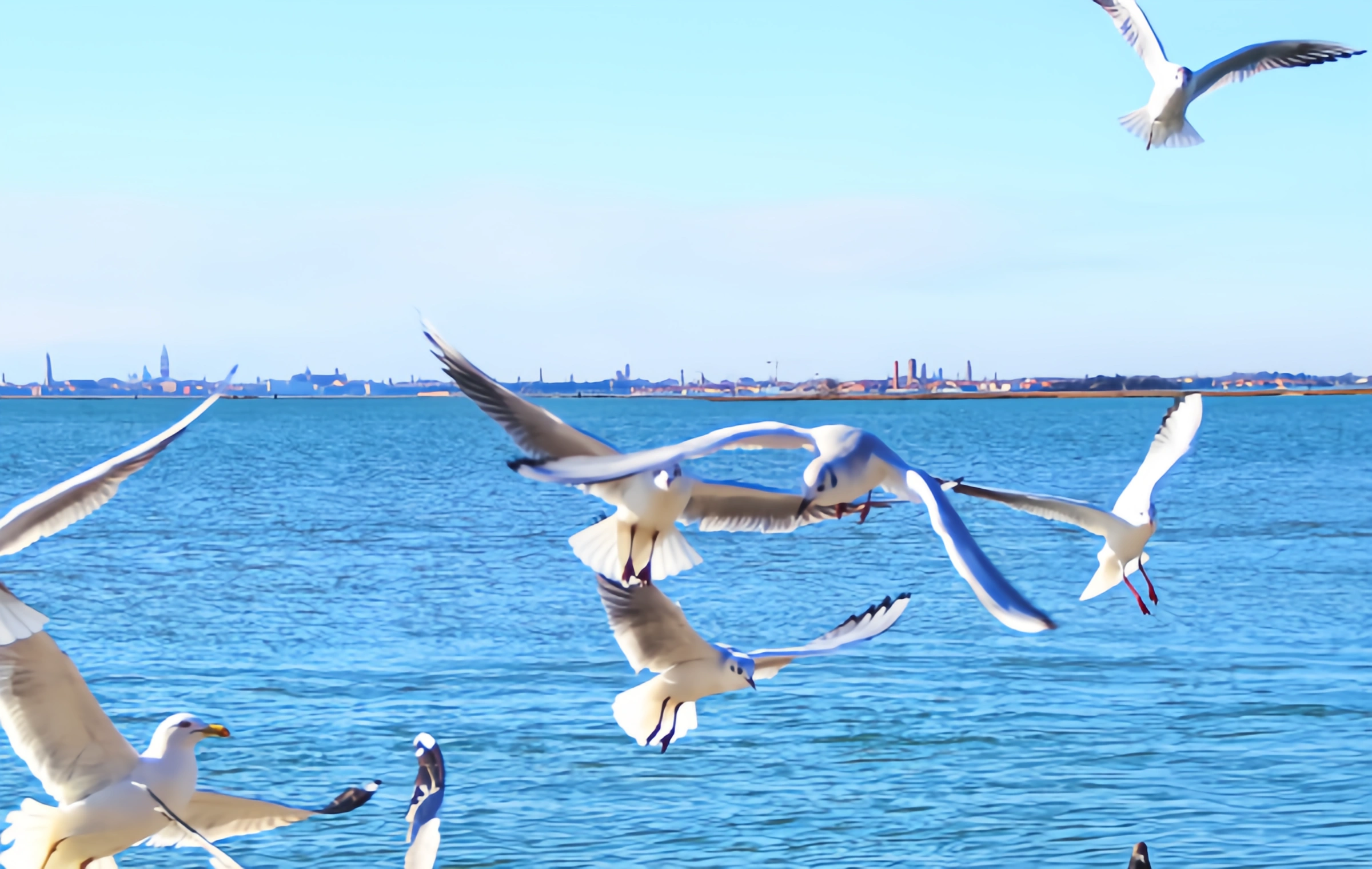  Dianchi See: Eine Millennium Poetische Reise von 