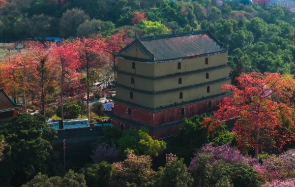 Yuexiu Park: Ein tausendjähriger Spaziergang von Nanyue Wangtai nach Yangcheng Green Heart-3