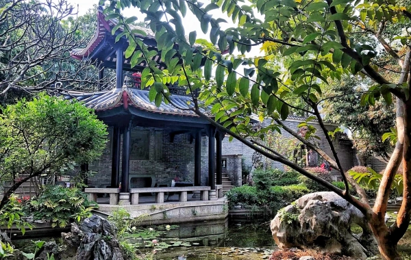 (ليانغ يوان) 3 ديمنسيون لاند كابيندينغ) الذي يوحّد روح (لينغنان شولورز)-2