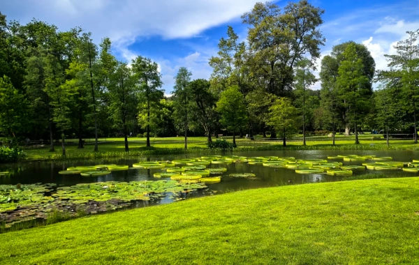 جنوب الصين الحديقة: ملحمية نابضة بالحياة من تطور النباتات ورحلة إلى واحة حضرية-3