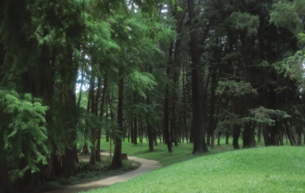 جنوب الصين الحديقة: ملحمية نابضة بالحياة من تطور النباتات ورحلة إلى واحة حضرية-4