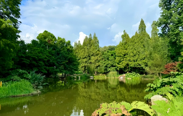 Kunming Botanical Garden West Garden: Un epico condensato dal vivaio di montagna al regno vegetale-2