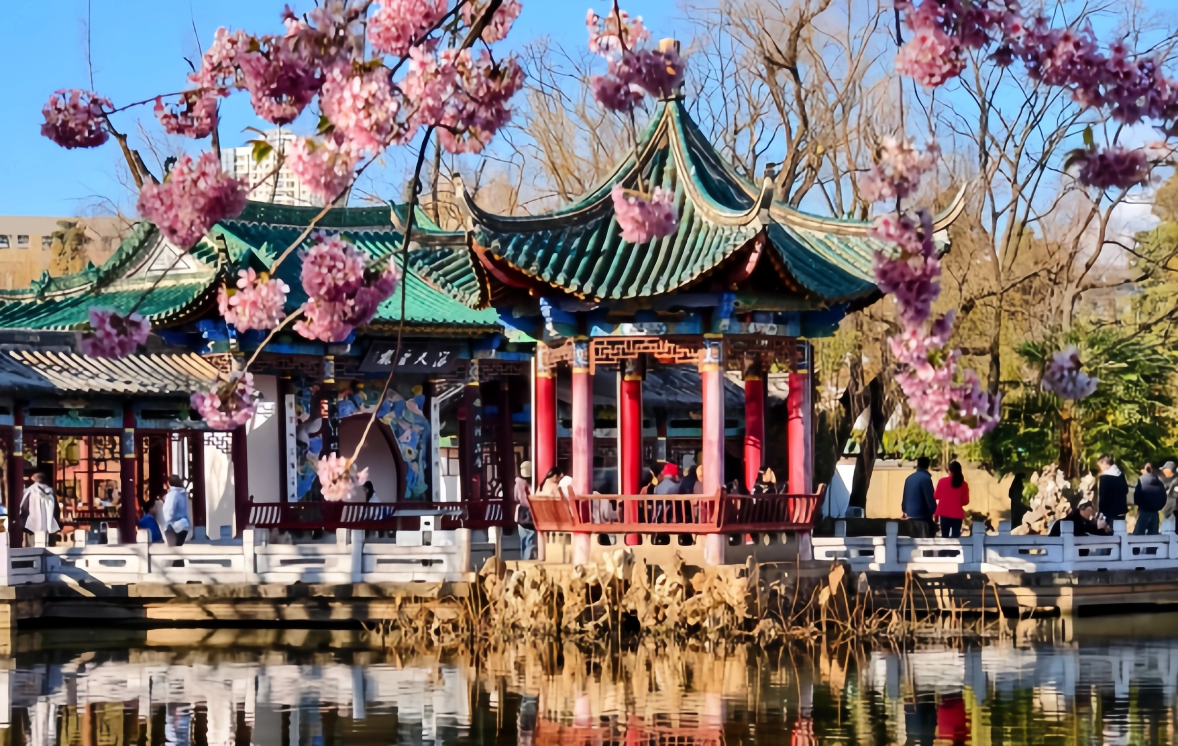 {\pos(192,230)}{\pos(192,230)}{\pos(192,230)}{\fnAdobe Arabic}{\fnAdobe Arabic\fs23\fe178\cH000000FF\3cH000000\blur15}{\fnAdobe Arabic\fs23\cH00FF\3cH000000FF\3cH00FFFFFF\blur15}{\fnAdobe Arabic\fs23\blur15}{\fnAdobe Arabic\fs23\blur15}{\fnArial\blur15}{\fnAdobe Arabic\blur15}{\fnAdobe Arabic\blur15}{\fnAdobe Arabic\blur15}{\fnAdobe Arabic\fnAdobe Arabic\fnAdobe Arabic\fnAdobe Arabic\fs23\fs23\fnAdobe Arabic\fs23\fnAdobe Arabic\fnAdobe Arabic\fs23\fnAdobe Arabic\fnAdobe Arabic\fs23\fnAdobe Arabic\fnAdobe Arabic\fs23\fnAdobe Arabic\fnAdobe Arabic\fnAdobe Arabic\fnAdobe Arabic\fnAdobe Arabic\fs23\fnAdobe Arabic\fs23\fnAdobe Arabic\fs23\fs23\fs23\fs23\f-2