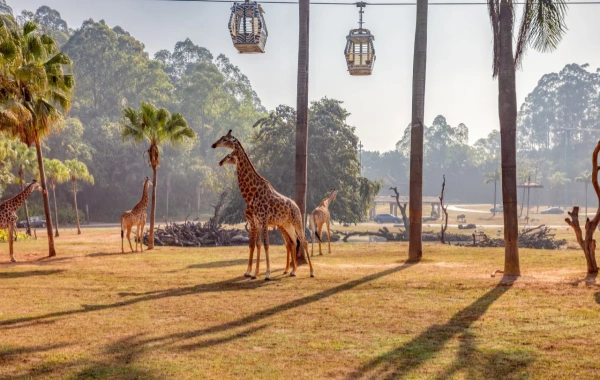 Chimelong Tourist Resort: Un voyage fantastique de la ferme de Pearl River à un parc à thème de classe mondiale-3