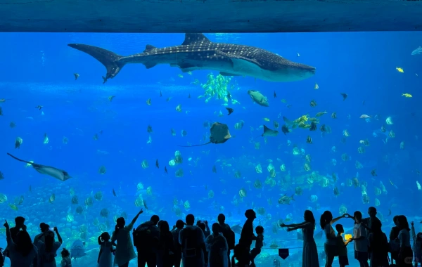 Chimelong Ocean Kingdom: A Legendary Journey from a Blue Dream World-Class Ocean Theme Park-2