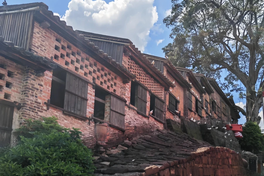 Nanfeng Antike Kiln: Eine Legendäre Reise durch fünfhundert Jahre des unerreichten Feuers in einem Drachen Kiln-3