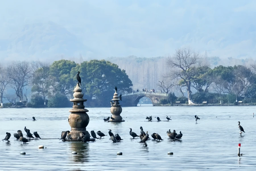 Tre piscine Specchio della Luna: un viaggio in giardino dal progetto di dragaggio della Su Causeway a un'icona culturale del West Lake-2