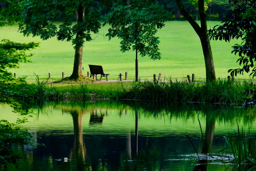 Prince Bay Parco: un viaggio di rinascita da West Lake Silt Site a Springtime Peak