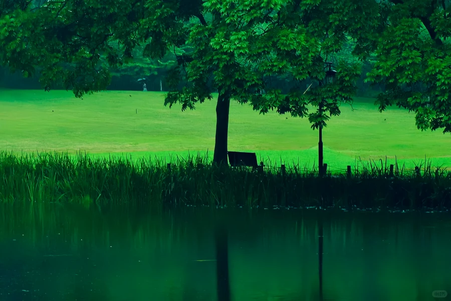 Prince Bay Parco: un viaggio di rinascita da West Lake Silt Site a Springtime Peak-3