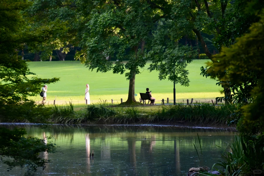 Prince Bay Parco: un viaggio di rinascita da West Lake Silt Site a Springtime Peak-4