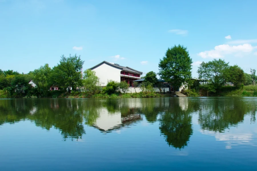 Xixi National Wetland Park: A Journey Through a Thousand-Year-Old Wetland Secret in the Heart of the City-2