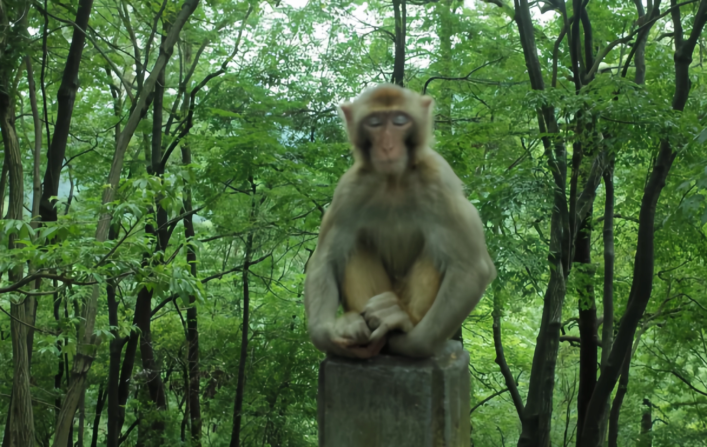Parc Qianlingshan: Logement poétique dans les montagnes centrales et la nature sauvage de la ville, et l'aventure du 