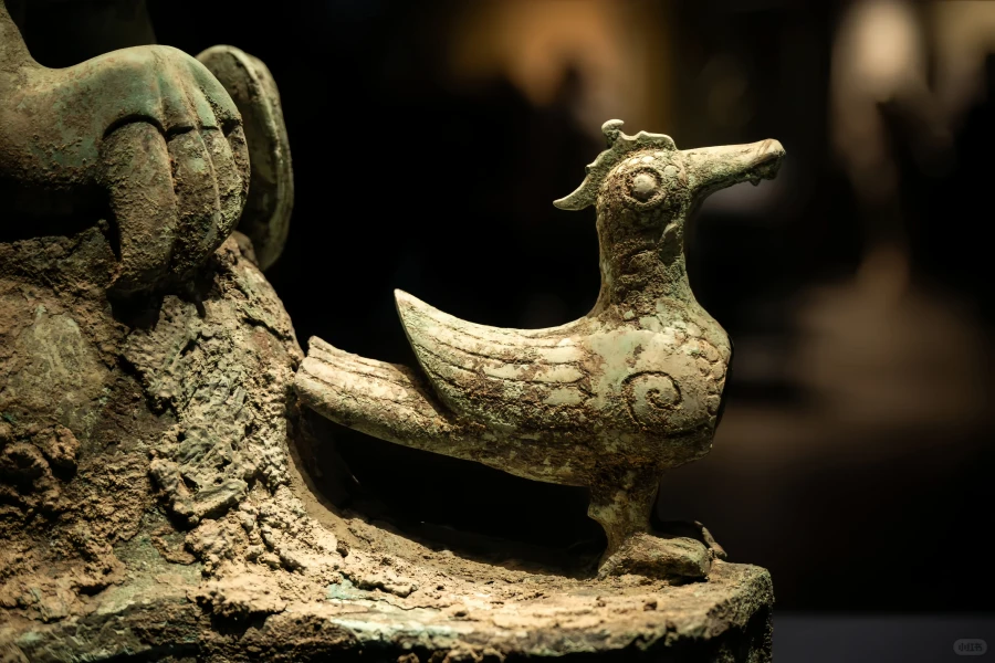 Shanghai Museum: A Journey of Civilization from Historical Treasury to Art Palace-3