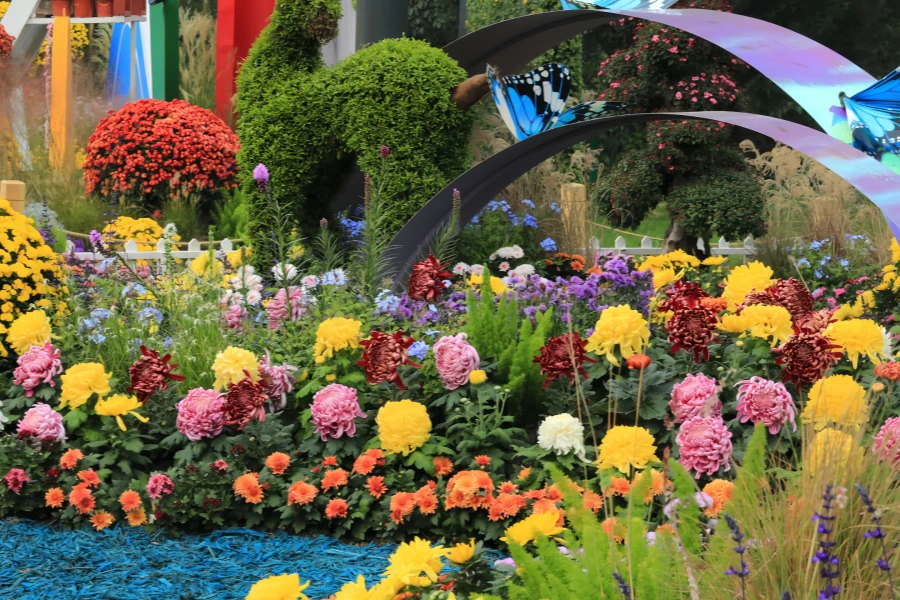 Gongqing National Forest Park: A Natural Symphony from Youth Nursery to Urban Green Heart-2