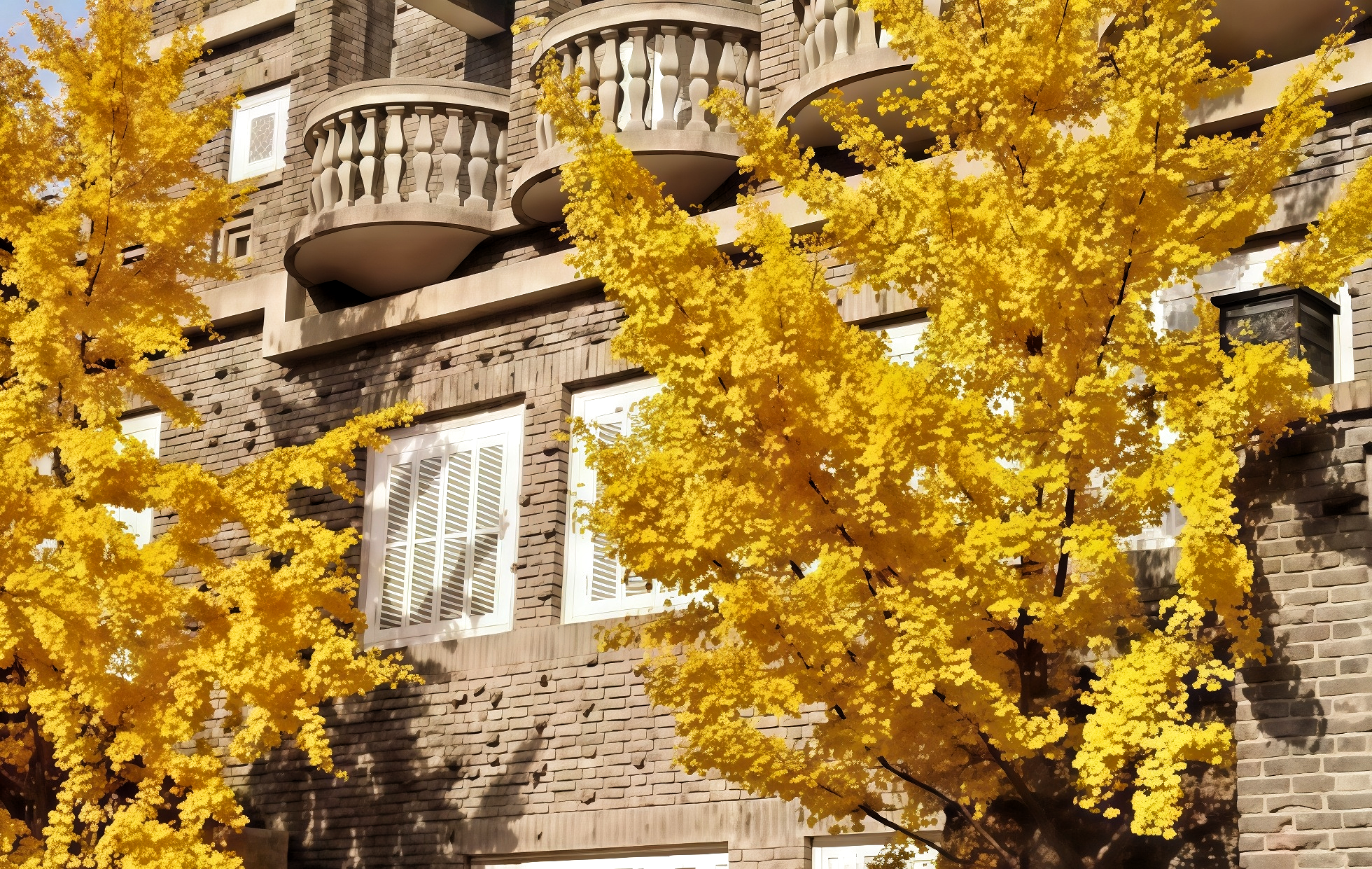 다섯 개의 훌륭한 애비뉴 (Wudadao) : 역사의 세기는 