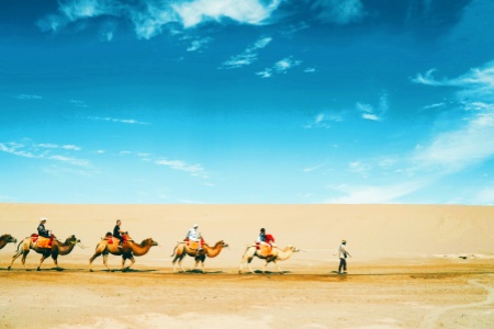 Silk Road Tour