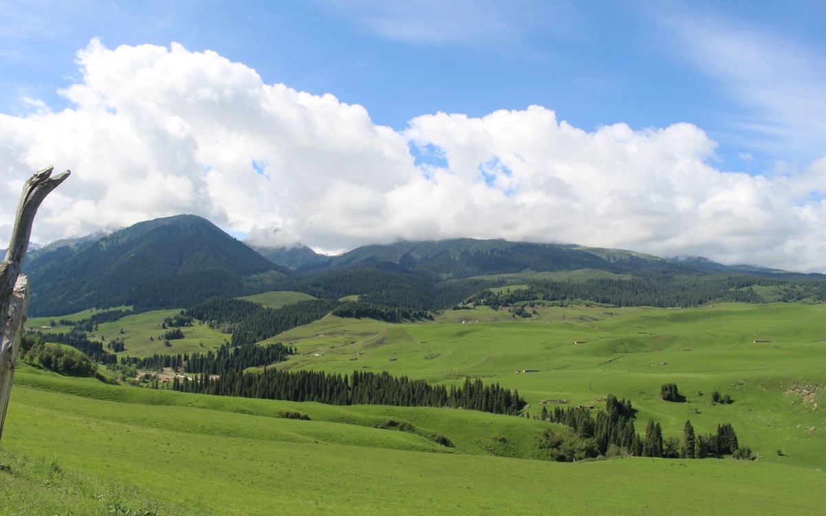 Day 1: Urumqi Arrival