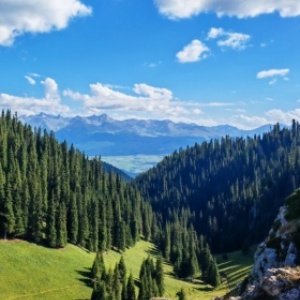 Xinjiang Cultural Immersion: 6 Días de Historia, Tradiciones y Belleza Escénica