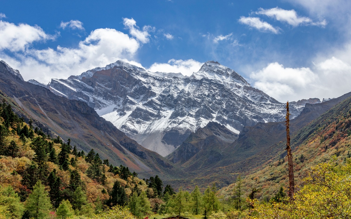 اليوم 1: تشانغدو