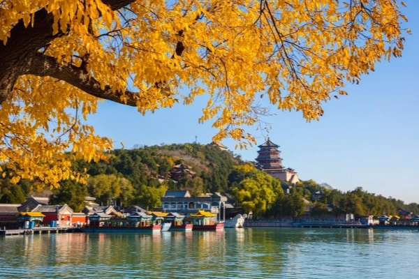 行程图片