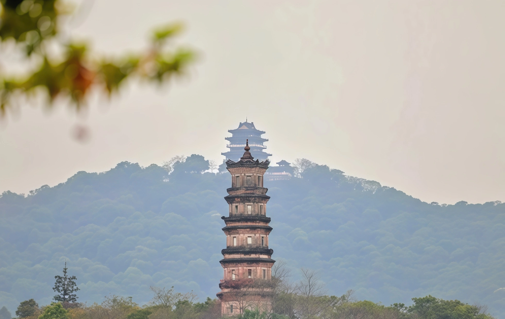 اليوم 3: شنغهاي - هونغزو