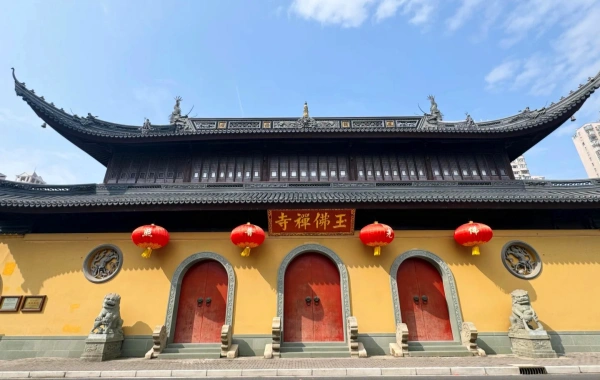 اليوم السادس: شنغهاي