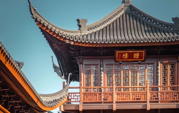 اليوم السادس: شنغهاي