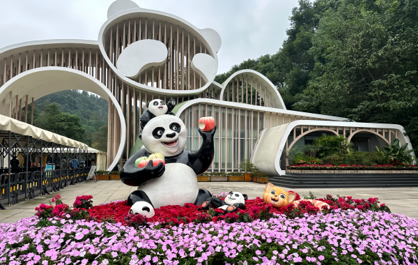 行程图片