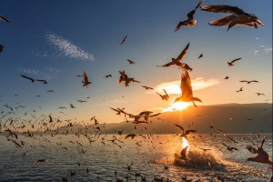  Dianchi See: Eine Millennium Poetische Reise von 