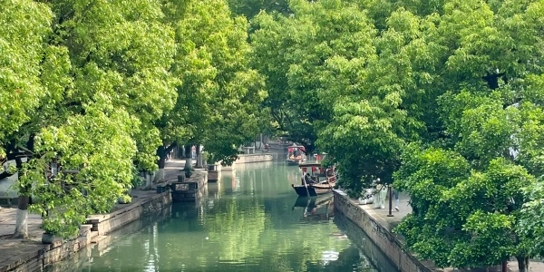 Day 6: Shanghai - Shenzhen