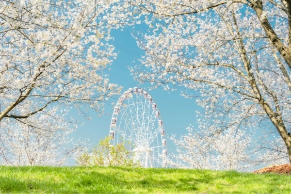 Tag 8: Shanghai Abreise