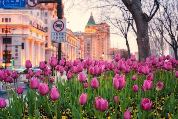 Jour 7 : Départ de Shanghai