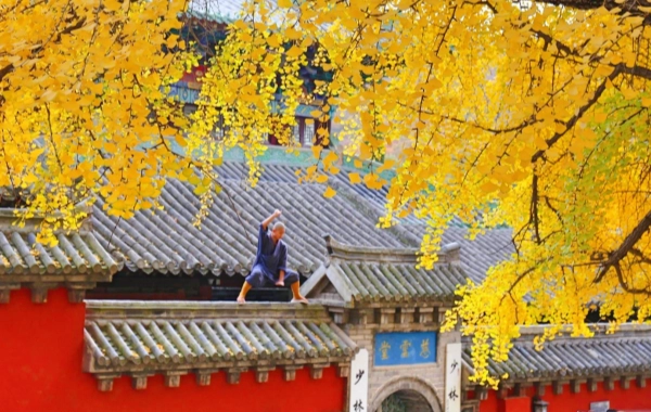 Day 3: Shanghai - Luoyang