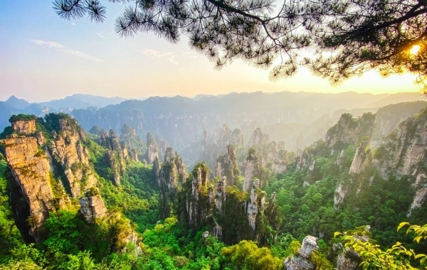 Día 3: Shanghai - Zhangjiajie