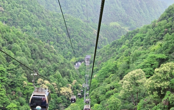 Día 4: Parque Nacional Forestal Zhangjiajie