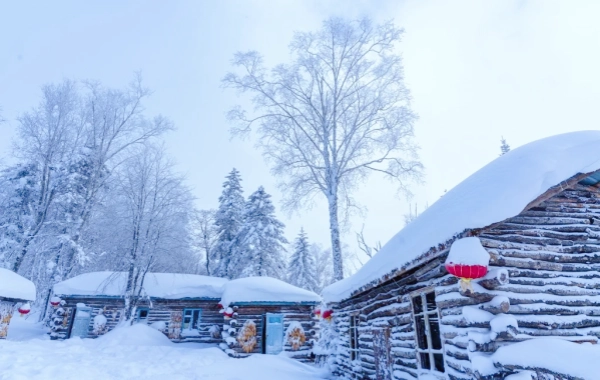   Day 7: Harbin to Snow Town