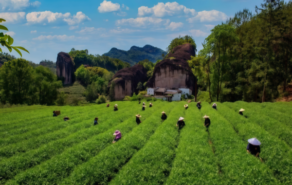 Furong Ancient Town