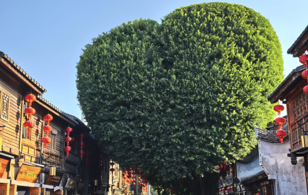 Furong Ancient Town