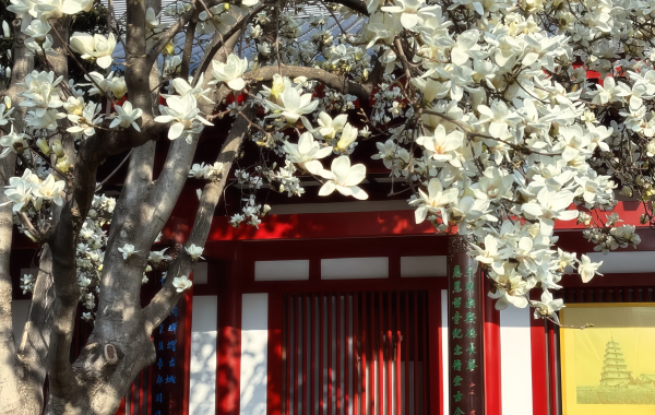 Furong Ancient Town