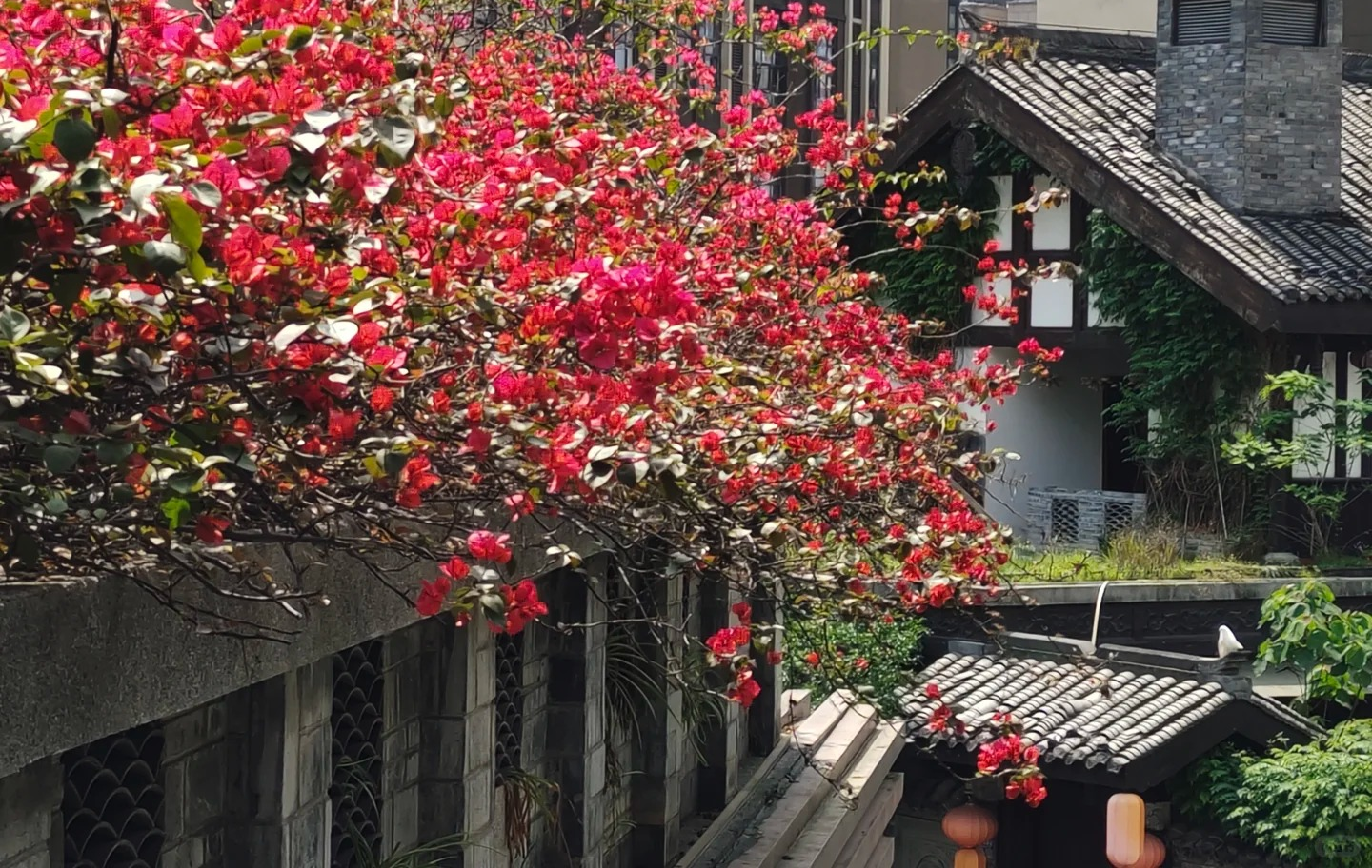 Furong Ancient Town