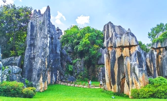 Day 2: Stone Forest Area