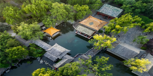 4日目:ビジョン・ジンアン