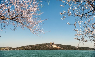 اليوم 1: الوصول