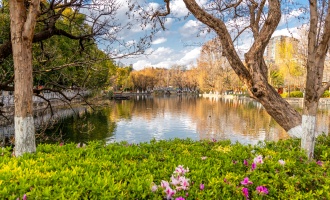 اليوم 1: الوصول